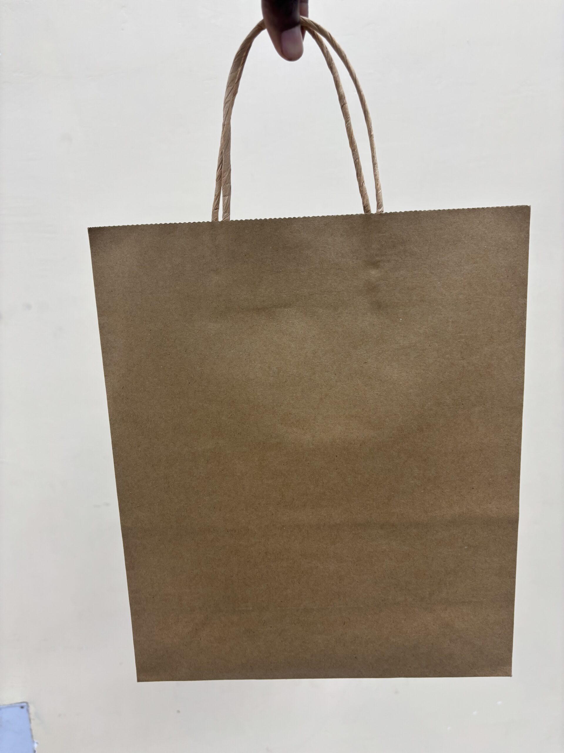 Veneloop.com Custom Branded Brown Kraft Paper Bag with Twisted Handle Printing